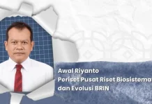 Kadal Buta Endemik Buton Dinamai Dibamus oetamai, Hormati Tokoh Pers Indonesia