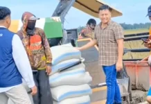 Pasca Lebaran, Bulog Lampung Utara Serap Gabah Petani