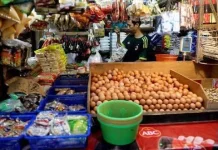 DKP3 Metro Pastikan Stok Pangan Aman dan Terkendali