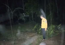 Banjir Terjang Kampung Lembasung di Way Kanan