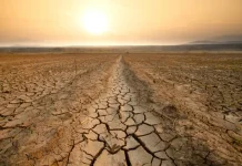 Strategi Sumur Bor Minimalkan Dampak Kekeringan Petani