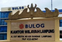 Bulog Lampung Target Serap 120 Ribu Ton Jagung