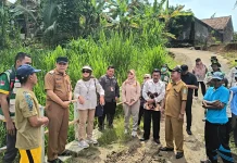 Irigasi Primer Jebol, Target Tanam Padi Way Kanan Terkendala