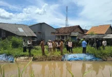 Petani Banjit Tolak Pompa, Minta Irigasi Primer Diperbaiki