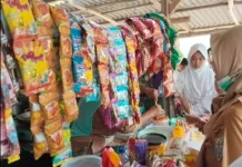 IKL TFU Periksa Sanitasi SDN 01 Way Tuba
