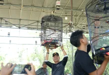 Wali Kota Metro: Lomba Burung Gerakkan Ekonomi Rakyat