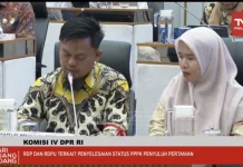 Perjuangan Imam Forandes Roza untuk Kepastian Status PPPK
