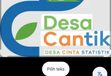 Desa Cinta Statistik, Upaya Membangun Desa Berbasis Data
