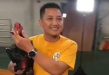 Hobi Ayam Shamo Jadi Rezeki Menjanjikan di Metro