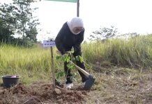 Pemkab Way Kanan Tanam Pohon Serentak