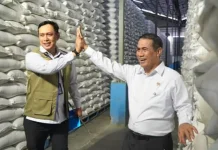 Bulog Cetak Rekor Sepanjang Sejarah, Stok Beras Tembus Lima Juta Ton