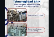 BRIN Ubah Tandan Kosong Sawit Jadi Bioetanol, Wujud Ekonomi Sirkular