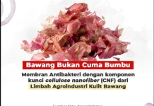 BRIN Ubah Limbah Kulit Bawang Jadi Produk Medis Bernilai Tinggi
