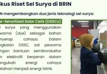 BRIN Kembangkan Sel Surya Perovskite dan DSSC untuk Masa Depan