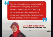BRIN: Bakteri Laut Pemakan Minyak, Penyelamat Ekosistem dari Tumpahan