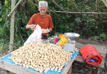 Penjual Buah Duku Tetap Bertahan di tengah Sepinya Pembeli