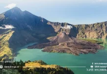 Jamur Morel Rinjani Bisa Dimakan, BRIN Dorong Konservasi untuk Pangan Masa Depan