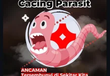 Riset BRIN: Anak di Pulau Samosir Terinfeksi Cacing Gelang dan Cambuk