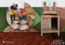 Mikrobia Lokal Gunungkidul Pacu Kualitas Biji Kakao Jadi Cokelat Probiotik
