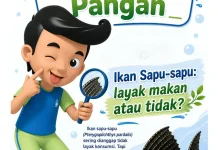 Ikan Sapu Sapu Layak atau Tidak Dikonsumsi
