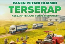 Panen Dijamin Terserap, Kesejahteraan Petani Indonesia Terus Menguat