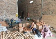 Perempuan Tangguh melalui Usaha Penjualan Telur Ayam