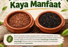 Yuk, Kenali Beras Berpigmen: Si Kaya Manfaat Selain Beras Putih