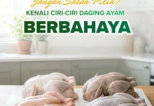 Jangan Salah Pilih Kenali Ciri Ciri Daging Ayam