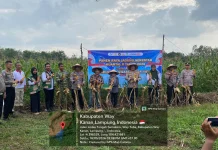 Polres Way Kanan Gelar Panen Raya Jagung Serentak