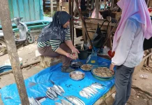 Jual Beli Ikan Segar di Pasar Tradisional Tetap Ramai Diminati Warga
