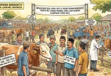 Jelang Iduladha, Harga Hewan Kurban di Baradatu Naik