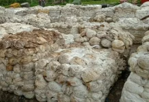 Pemkab Way Kanan Dorong Hilirisasi Produk Karet Lokal
