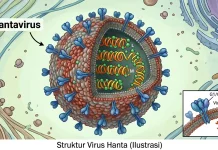 Gejala Virus Hanta