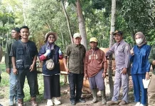 Jelang Idul Adha, Pemkab Way Kanan Perketat Pengawasan Lalu Lintas Ternak