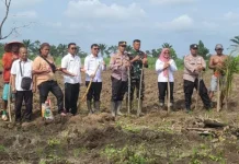Pemkab Way Kanan Perkuat Ketahanan Pangan