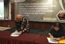 Way Kanan Perkuat Sinergitas Kembangkan Perkebunan Sawit