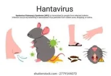 Dinkes Way Kanan Imbau Warga Cegah Penularan Hantavirus