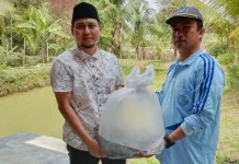 Panen Raya Budidaya Perikanan di Way Kanan Ditargetkan Meningkat