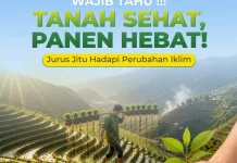 Wajib Tahu! Tanah Sehat, Panen Hebat: Jurus Jitu Hadapi Perubahan Iklim