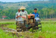 Taruna Tani Sri Tunggal Harapkan Dukungan Pemerintah