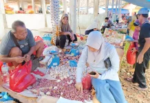 Peran Pasar Tradisional dalam Mendukung Perekonomian