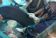 Sapi Kurban Kampung Tanjung Harapan Dipastikan Terbebas Infeksi Cacing Hati