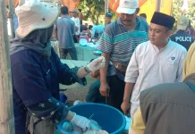 Pemkab Way Kanan Sosialisasikan Tata Cara Pemeriksaan Hati Hewan Kurban