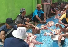Jumlah Hewan Kurban di Kampung Ramsai Meningkat Dibanding Tahun Lalu