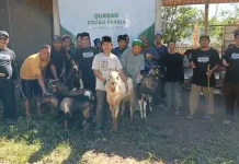 Paskas Way Kanan Salurkan Kurban untuk Yatim dan Santri
