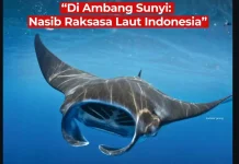 CITES Tingkatkan Perlindungan Pari Manta ke Apendiks I, BRIN Apresiasi Langkah Glo