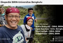 Misteri 40 Tahun Terjawab, BRIN Identifikasi Rafflesia Baru di Hutan Sepaku
