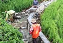 Dinas PUPR Way Kanan Jaga Produktivitas Pangan lewat Irigasi