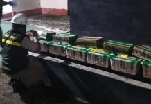 Karantina Lampung Amankan Ratusan Burung tanpa Dokumen di Pelabuhan Bakauheni