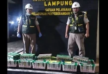 Pengiriman Satwa Wajib Penuhi Dokumen Karantina